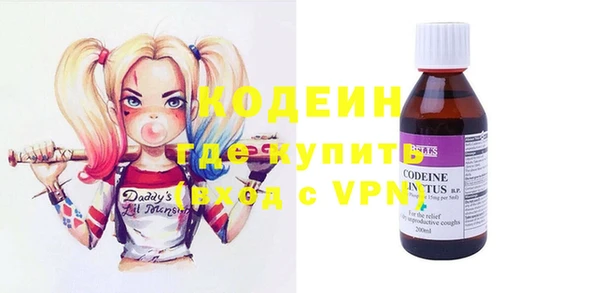 молекула духа Богородицк