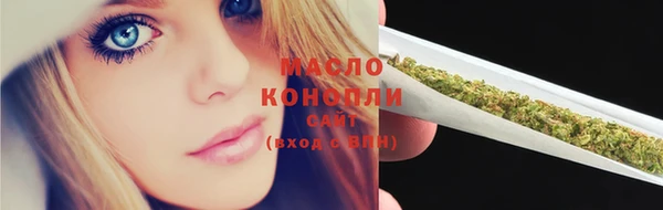 молекула духа Богородицк