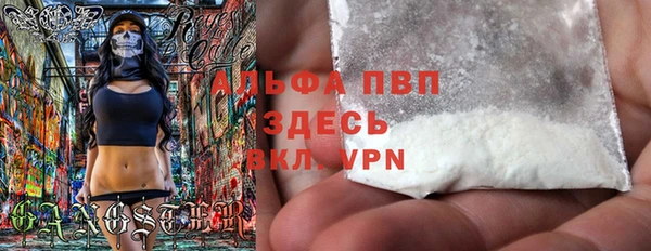 молекула духа Богородицк