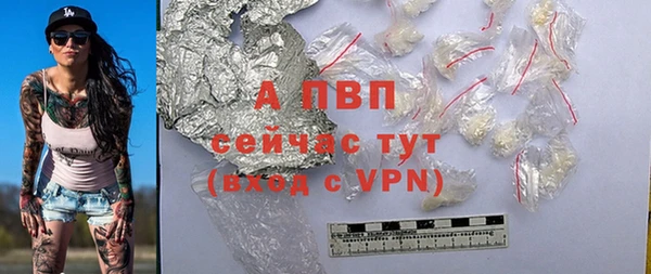 молекула духа Богородицк