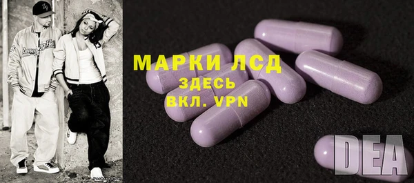 молекула духа Богородицк